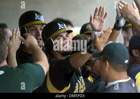 Mar 20, 2005; Pheonix, CA, USA; Eric Chavez is greeted in the Athletics dugout after hitting a three run homer off Jason Schmidt in Sunday afternoon's Cactus League game between the San Francisco Giants and Oakland Athletics at Phoenix Stadium in Scottsdale, Arizona.  Sacramento Bee photograph by Jose Luis Villegas March 20, 2005 Stock Photo