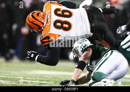 03 January 2010: Cincinnati Bengals quarterback Carson Palmer (9) drops  back to pass during the New York Jets 37-0 win over the Cincinnati Bengals  at Giants Stadium in East Rutherford, NJ (Icon