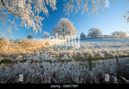 Hoar frost on farmland near Chipping Campden, Gloucestershire, England. Stock Photo