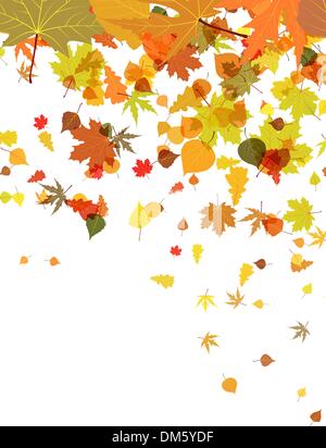 Autumn card of bright multicolor leaves. Stock Vector