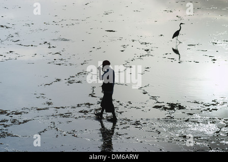 Man walking past a heron in a lagoon at low tide, backlit, Mombasa, Kenya Stock Photo