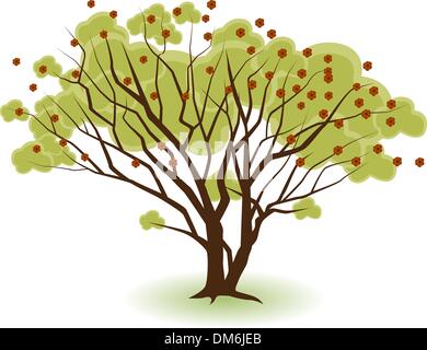 Two Trees Stock Vector