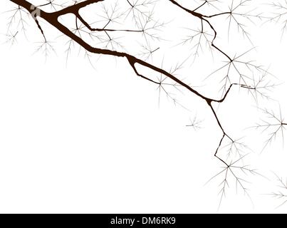 Japanese maple. Stock Vector