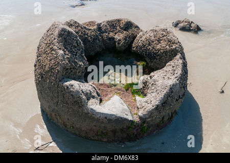 Moeraki Boulders or Kaihinaki, Hampden, East Otago, South Island, New Zealand. Stock Photo