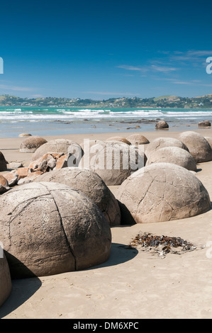 Moeraki Boulders or Kaihinaki, Hampden, East Otago, South Island, New Zealand. Stock Photo