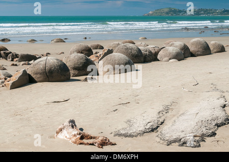 Moeraki Boulders or Kaihinaki, Hampden, East Otago, South Island, New Zealand. Stock Photo