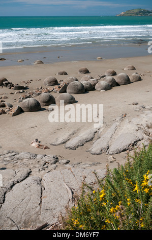 Moeraki Boulders or Kaihinaki, Hampden, East Otago, South Island, New Zealand. Stock Photo