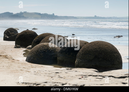 Moeraki Boulders or Kaihinaki, Hampden, East Otago, South Island, New Zealand. Stock Photo