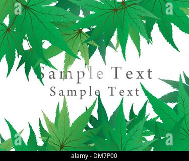 maple leaves Stock Vector