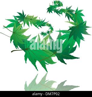 maple leaves Stock Vector