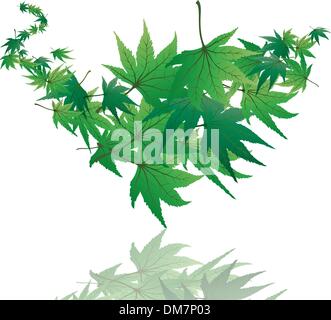 maple leaves Stock Vector