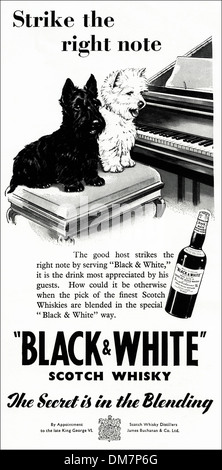 1950s advertising. Original vintage magazine advertisement advert for BLACK & WHITE SCOTCH WHISKY by Royal Appointment. Stock Photo