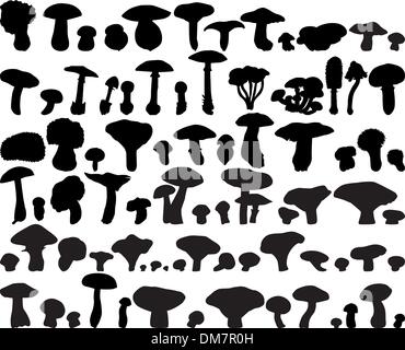 fungus Stock Vector
