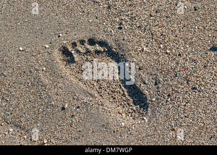 Footprint, printed in the sand on the seashore. Stock Photo