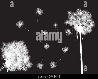 Dandelions in the night Stock Vector