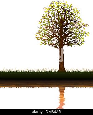 Tree over water Stock Vector