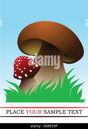 Two forest mushrooms. Vector illustration Stock Vector