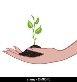 Growing green plant in palm as a symbol of nature protection Stock Vector