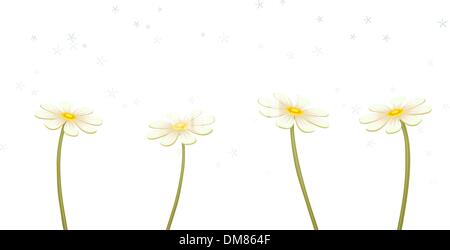 Vector chamomiles Stock Vector