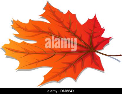 Autumn leaf on water Stock Vector