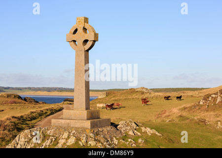 St Dwynwen's Celtic stone cross and wild Welsh ponies on Ynys Llanddwyn Island National Nature Reserve AONB Newborough Isle of Anglesey Wales UK Stock Photo