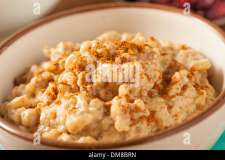 Homemade Healthy Rice Pudding with Brown Cinnamon Stock Photo