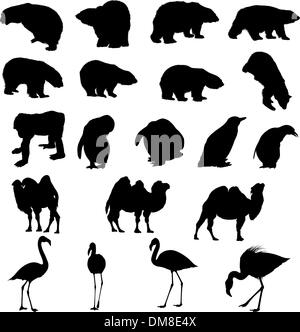 Set of bears, ape, penguins, camels and flamingos  silhouettes. Stock Vector