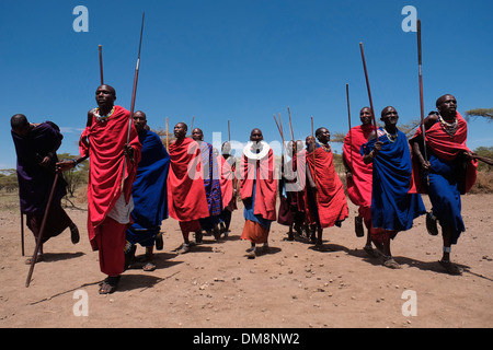 A group of Maasai warriors perform a kind of march-past during the traditional Eunoto ceremony performed in a coming of age ceremony for young warriors in the Maasai tribe in the Ngorongoro Conservation Area in the Crater Highlands area of Tanzania Eastern Africa Stock Photo