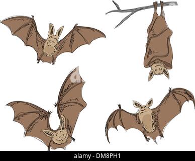 cartoon bats Stock Vector