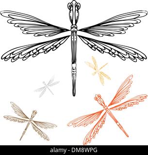 Detailed Dragonfly Stock Vector