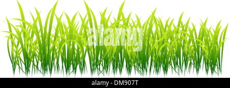 Spring, green grass for your design Stock Vector