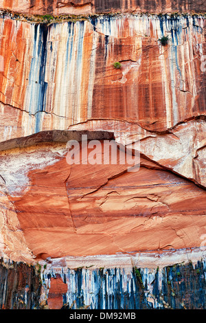 Colorful desert varnish on the sandstone walls near the Emerald Pools in Utah's Zion National Park. Stock Photo