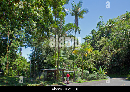Entrance to the Hawaii Tropical Botanical Garden, on scenic loop off Highway 19, north of Hilo. Stock Photo