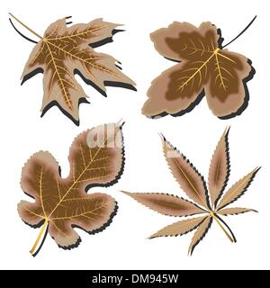dry leaves collection against white Stock Vector