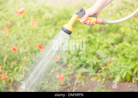 Lifestyle summer scene. Watering garden plants with sprinkler. Stock Photo