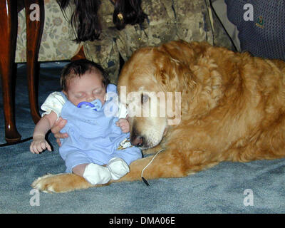 May 20, 2002 - Bellport, Long Island - 5/20/02 Bellport, New York Five week old Troy Joseph Sica owes his life to 15 year old ''Bullet'' the familys aging Golden Retriever who allerted Troy's mom Pam, with loud barking & running back and forth when the youngster was gasping for air & stopped breathing. Mom called the medics & baby Troy was rushed to Brookhaven Hospital where he was Stock Photo