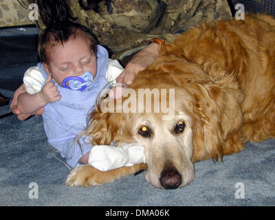 May 20, 2002 - Bellport, Long Island - 5/20/02 Bellport, New York Five week old Troy Joseph Sica owes his life to 15 year old ''Bullet'' the familys aging Golden Retriever who allerted Troy's mom Pam, with loud barking & running back and forth when the youngster was gasping for air & stopped breathing. Mom called the medics & baby Troy was rushed to Brookhaven Hospital where he was Stock Photo