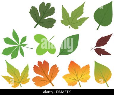 leaf collection vector Stock Vector Image & Art - Alamy