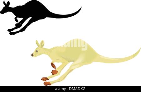 Running kangaroo isolated on a white background Stock Vector