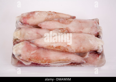 calamari frozen pack seafood eat product wholesale many pack ice cold