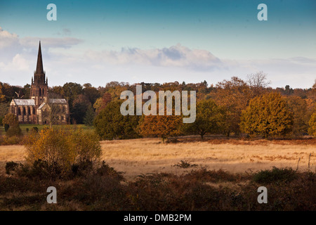 Beautiful autumnal colours at Clumber Park, near Worksop in Nottinghamshire Stock Photo