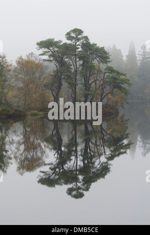 Misty morning reflections on an autumn morning at Tarn Hows, Lake District, Cumbria, England Stock Photo