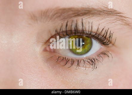 Close up of a human eye Stock Photo