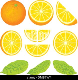 Orange Stock Vector