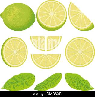 Lime Stock Vector