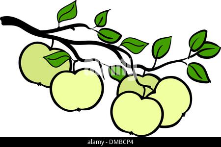 beautiful green apple branch of tree and blue sky Stock Vector