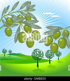 Olive tree with olives on branches. Olive oil emblem sketch. Hand drawn ...