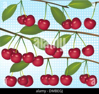 cherries on light blue background Stock Vector
