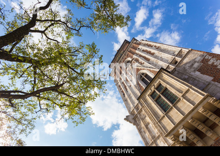 Tall historic building bottom view with tree on the side Stock Photo
