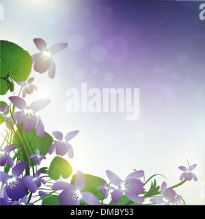 wild violet flowers Stock Vector